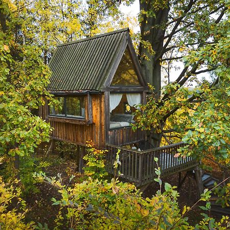 Enjoy Cozy Tree House Hills Forest Gardens Beautiful Views Sauna Hotbath Jablonné v Podještědí Exterior foto